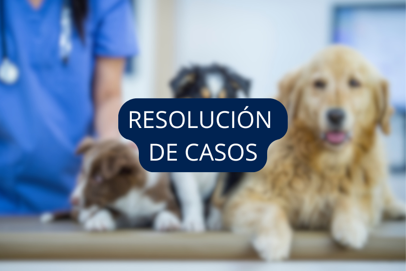RESOLUCION-CLASES.png