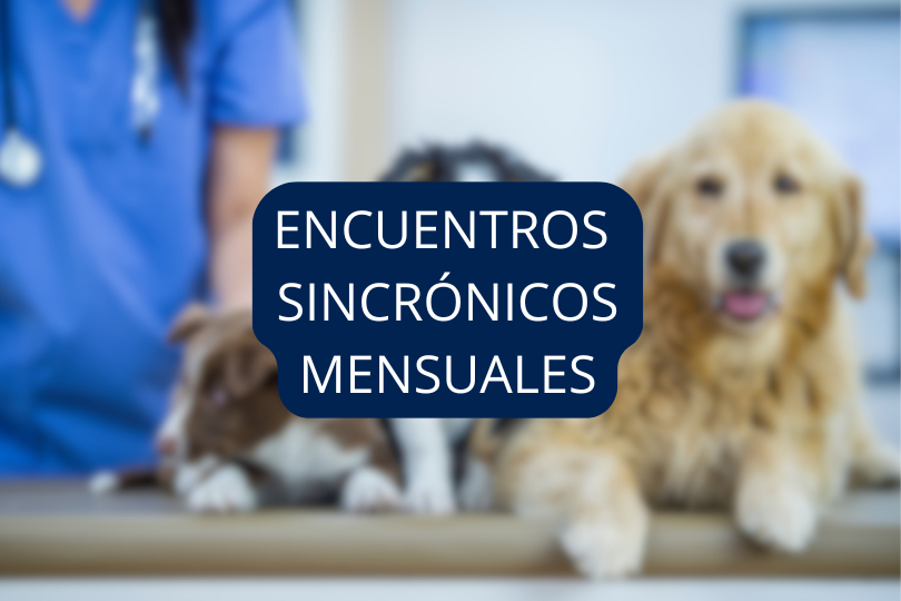 encuentros sincronicos mensuales.png